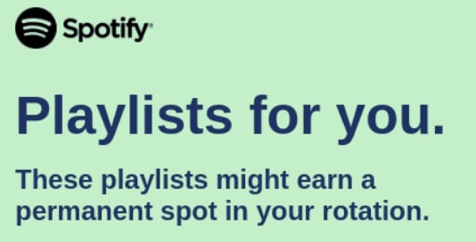 Spotify Concise Email